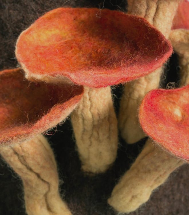 Felted fungi detail